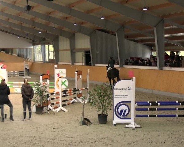 Reitturnier Münster-Amelsbüren 2024