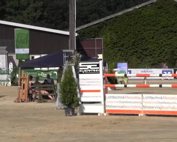 Vinnummer Reitertage 2013