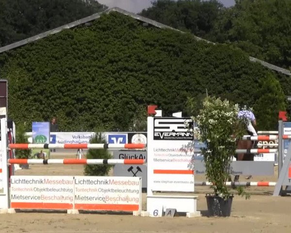 Vinnummer Reitertage 2013
