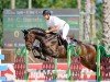 jumper Canavaro 17 (Oldenburg show jumper, 2019, from Cornet Obolensky)