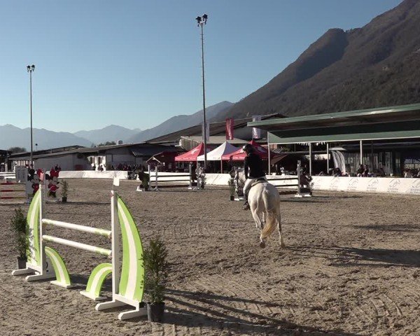 Reitturnier Giubiasco 2024