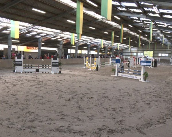 Reitturnier Ibbenbüren 2024