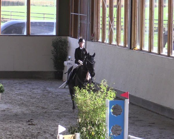 Reitturnier Fleesensee Classic´s 2024