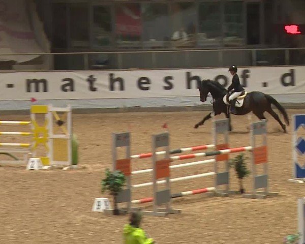 Reitturnier Kreuth/Opf. 2024