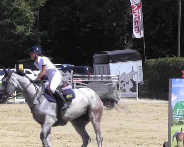 Vinnummer Reitertage 2013