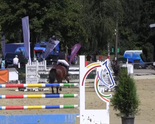Vinnummer Reitertage 2013