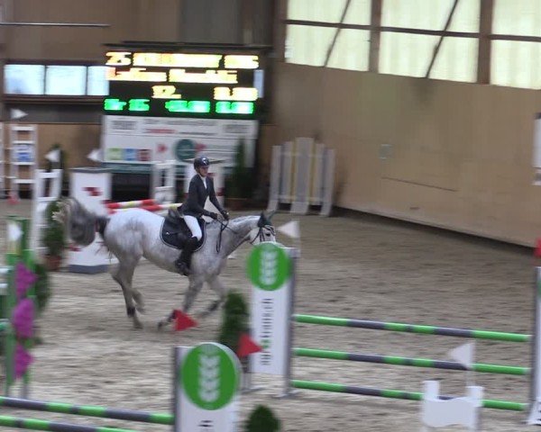 Reitturnier Fehraltorf 2024