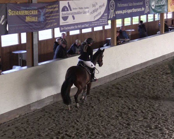 Reitturnier Fleesensee Classic´s 2024