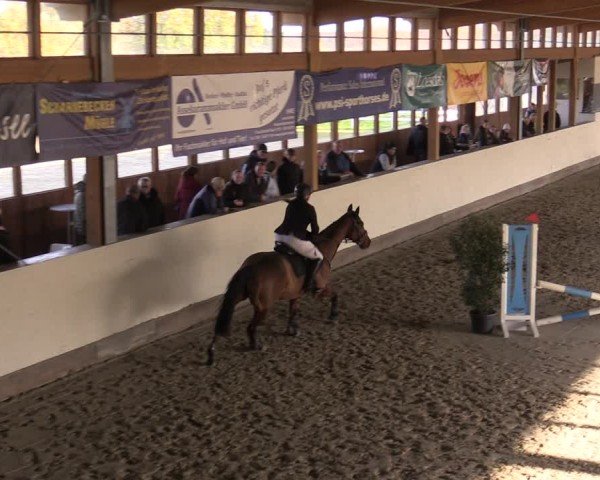 Reitturnier Fleesensee Classic´s 2024