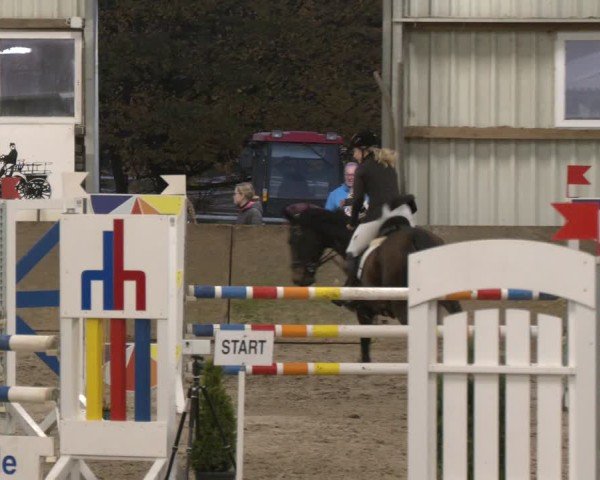 Reitturnier Ibbenbüren 2024