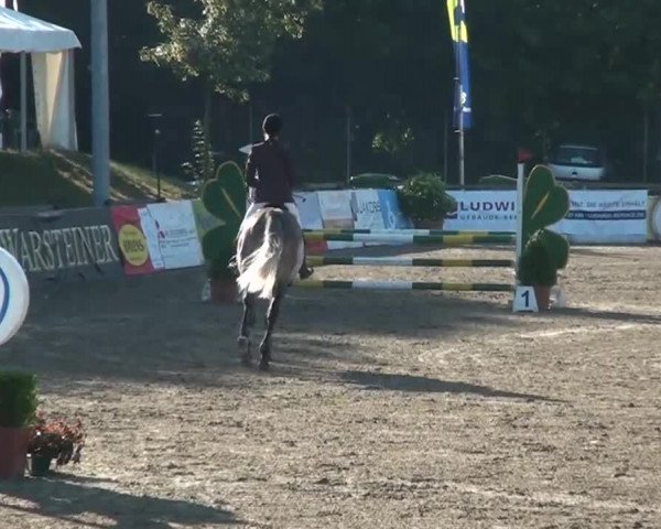 60. Lobbericher Reitsportfestival 01.-04.08.2013