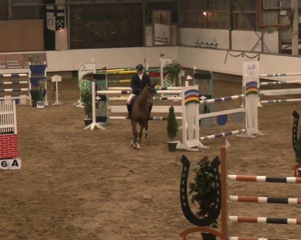 Reitturnier Marl, Reithalle Rohmann 2024