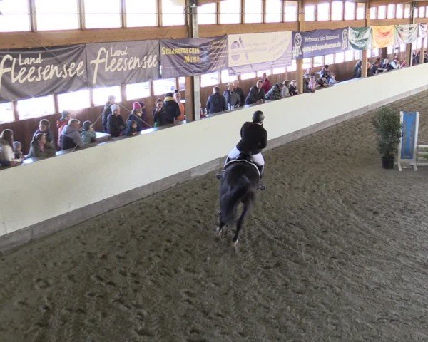 Reitturnier Fleesensee Classic´s 2024