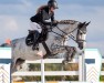 jumper California-Sun (German Sport Horse, 2017, from Cristallo I)