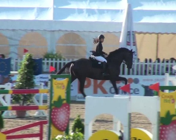 60. Lobbericher Reitsportfestival 01.-04.08.2013