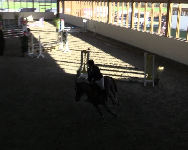 Reitturnier Fleesensee Classic´s 2024