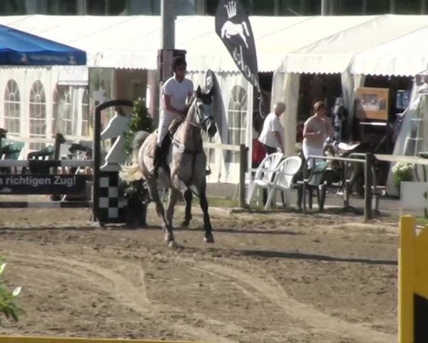 60. Lobbericher Reitsportfestival 01.-04.08.2013