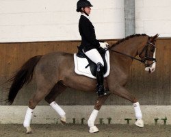 dressage horse Die Allerliebste (German Riding Pony, 2009, from Burlington S)