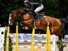 jumper Barre des Ecrins (Oldenburg show jumper, 2017, from Balou du Rouet)