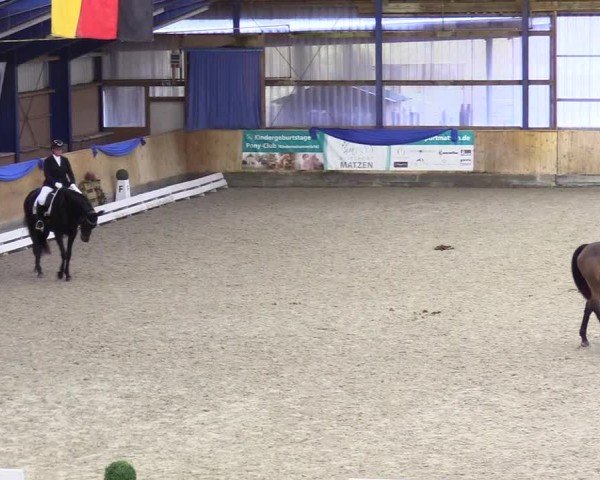 Reitturnier Großenwiehe 2024