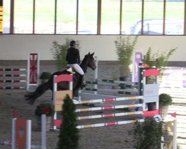 Reitturnier Fleesensee Classic´s 2024