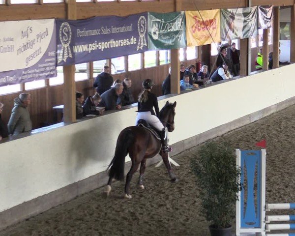Reitturnier Fleesensee Classic´s 2024