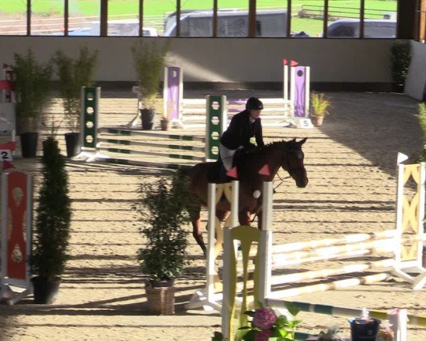 Reitturnier Fleesensee Classic´s 2024
