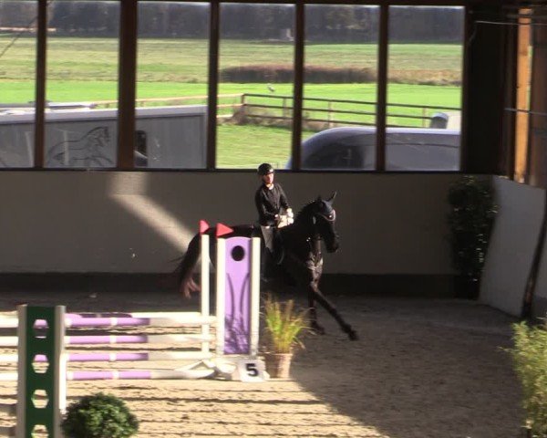 Reitturnier Fleesensee Classic´s 2024