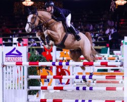 stallion Dayton Sitte (Belgium Sporthorse, 2009, from Ogano Sitte)