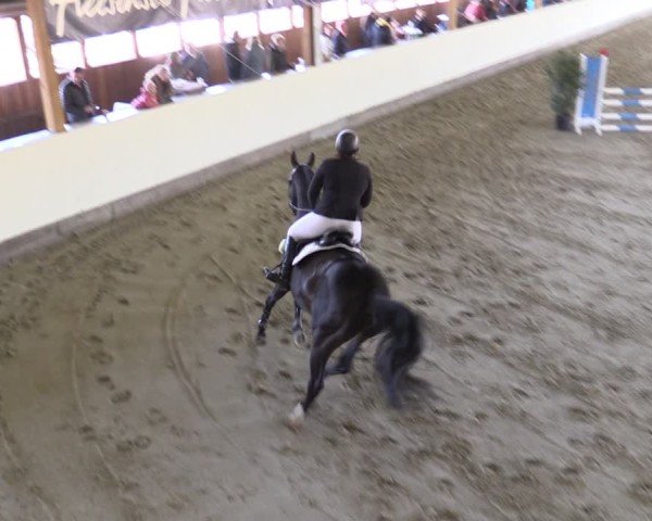 Reitturnier Fleesensee Classic´s 2024