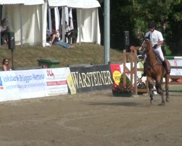 60. Lobbericher Reitsportfestival 01.-04.08.2013