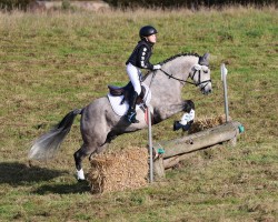 dressage horse Del Pier II (German Riding Pony, 2018, from Del Piero II)