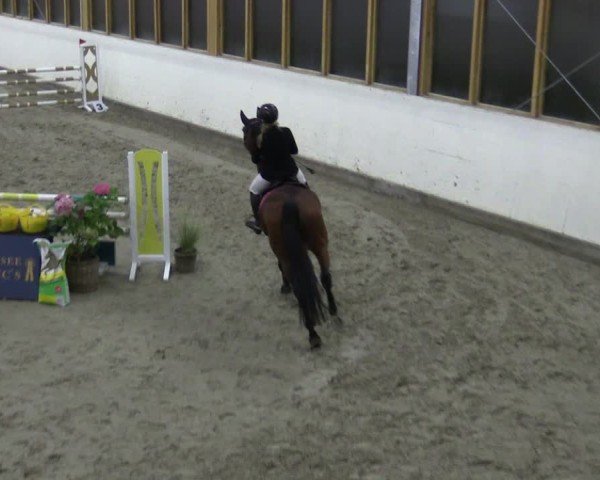 Reitturnier Fleesensee Classic´s 2024