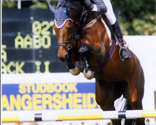 broodmare Ligitta (Danish Warmblood, 1998, from Come Back II)