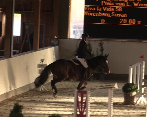 Reitturnier Fleesensee Classic´s 2024