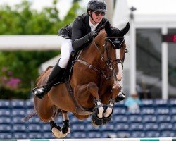 jumper Palermo Aeg (Belgian Warmblood, 2015, from Dieu-Merci van T&L)