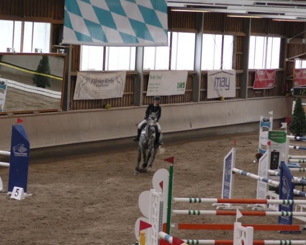 Reitturnier Krombach/Hof-Hauenstein/Ufr. 2024