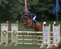 jumper Summer Jam 2 (German Riding Pony, 2013, from Strahlemann)