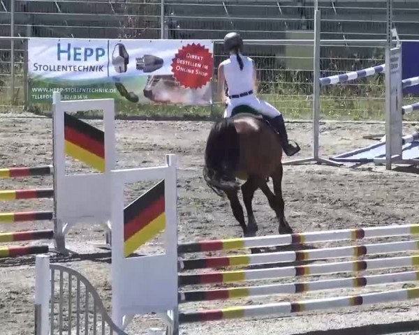 Leutkirch-Haid 2013