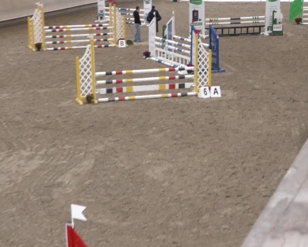 Reitturnier Krombach/Hof-Hauenstein/Ufr. 2024