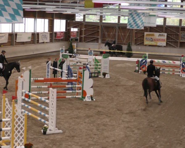 Reitturnier Krombach/Hof-Hauenstein/Ufr. 2024