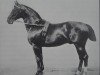 stallion King (Hanoverian, 1890, from Kingdom xx)