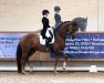 dressage horse Jackpot Hs (Württemberger, 2011, from Glock's Johnson Tn)