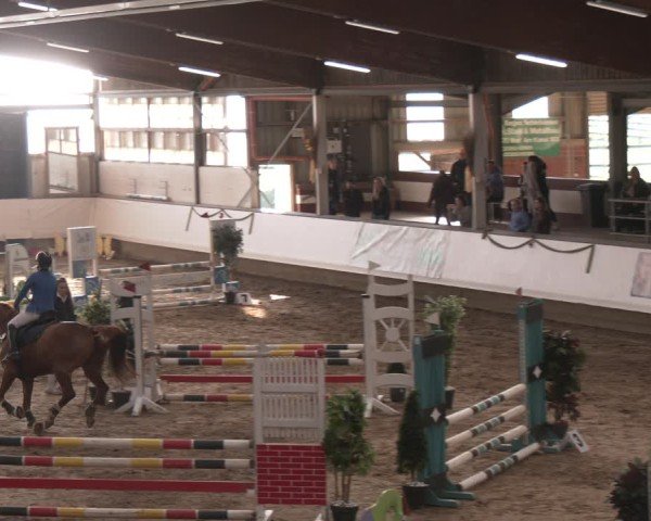 Reitturnier Marl, Reithalle Rohmann 2024