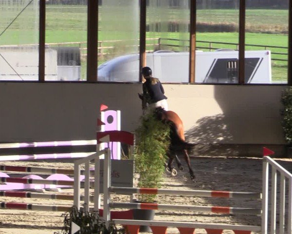 Reitturnier Fleesensee Classic´s 2024