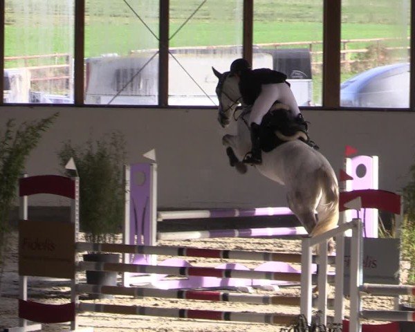 Reitturnier Fleesensee Classic´s 2024