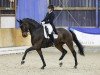 dressage horse Egon 82 (Rhinelander, 2017, from Escolar)