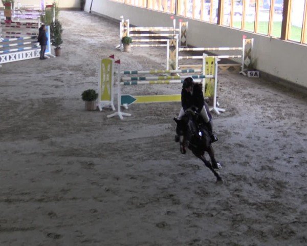 Reitturnier Fleesensee Classic´s 2024