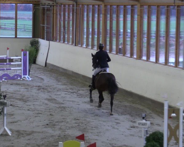 Reitturnier Fleesensee Classic´s 2024