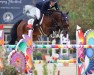 jumper Thank You Rs (Hanoverian, 2016, from Toulon)